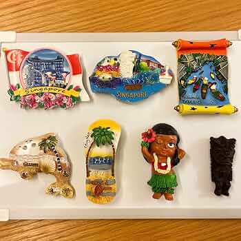 Amazon.co.jp: 海外 お土産 ご当地 マグネット シンガポール